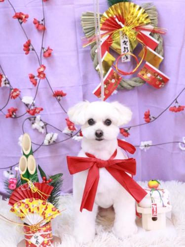 20230121うみちゃん